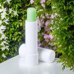♥ Bálsamo Labial Aloe Vera