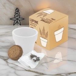 ♥ Maceta Terracota Lupine Boda