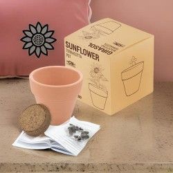 ♥ Maceta Girasol Terracota Boda