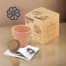 ♥ Maceta Cosmos Terracota Boda