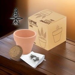 ♥ Maceta Lupine Terracota Boda