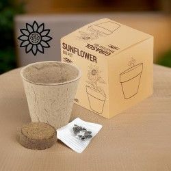 ♥ Maceta Girasol Eco Boda
