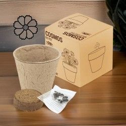 ♥ Maceta Cosmos Eco Boda