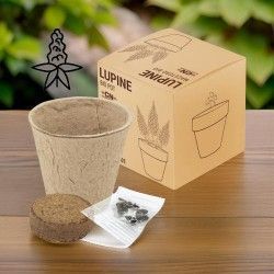 ♥ Maceta Lupine Eco Boda