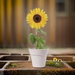 ♥ Maceta Girasol Tumil Boda